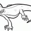 coloring pages of a lizard coloring home
