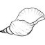 sea shell coloring pages clipart best