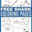 shark color pages life is sweeter by