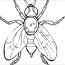 flying aphid coloring pages coloringbay