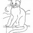 cats coloring pages free coloring