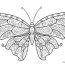 printable butterfly coloring pages for kids