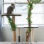 diy cat tree using real branches
