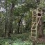 diy deer hunter build a wooden ladder