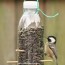 how to make a diy bird feeder for