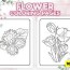 flower coloring pages for kids kdp