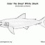 free free shark coloring pages to print