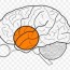frontal lobe mass clip art brain