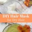 nourishing diy hair mask for dry hair