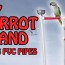 bird perch stand using pvc pipes
