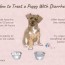 how to treat puppy diarrhea pawleaks