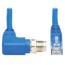 m12 to rj45 x code cat6 cable rt