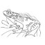 25 delightful frog coloring pages for