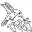 free hummingbirds coloring pages printable