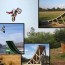 action sports ramps fmx ramp plans