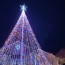 north charleston to host christmas tree