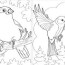 bird coloring pages 75 best images