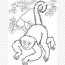 monkey coloring png image with