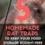 5 homemade rat traps to keep your food