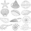 shell coloring pages free printable