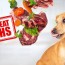 raw meat diet for dogs 7 myths you won