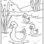 duck coloring pages updated 2022