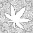 cannabis leaf stock vector adobe stock