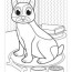 pets coloring pages for kids