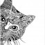 cats adult coloring pages