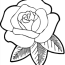 rose drawing outline coloring pages