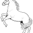 running horse coloring pages and many