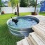dog pool in low budget