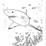 sharks kids coloring pages