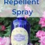 diy essential oils bug repellent spray