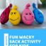 homemade stress balls wacky sacks