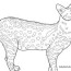 zoo coloring pages free admittance
