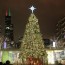 christmas trees across chicago