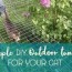 outdoor cat tunnels for your indoor cat