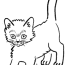 drawing kitten 18123 animals