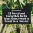 23 functional cucumber trellis ideas
