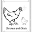 chicken and baby chick coloring page