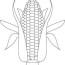 growing corn coloring page download