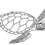 turtle coloring pages 100 free