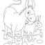 donkey and foal coloring page for kids