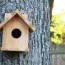 build a cedar birdhouse for 2 ana white