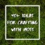 41 outstanding moss craft ideas