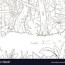 jungle forest cartoon coloring book