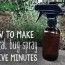 homemade bug spray recipes that work