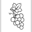 printable fruit coloring pages updated