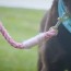 diy ombre rope dog leash bechewy